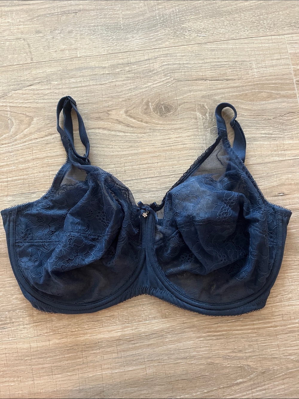 Wacoal Retro Chic 36G Lace Underwire Bra -NWOT Blue Style 855186 - Picture 2 of 4